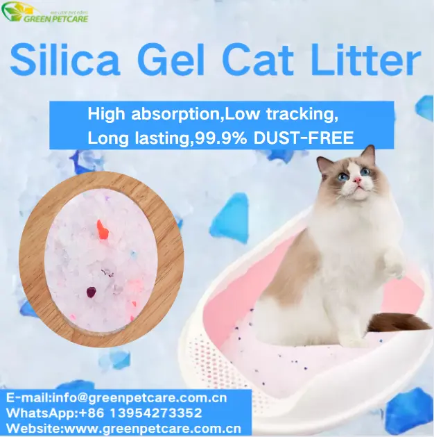 Best cat litter for odor control and dust free